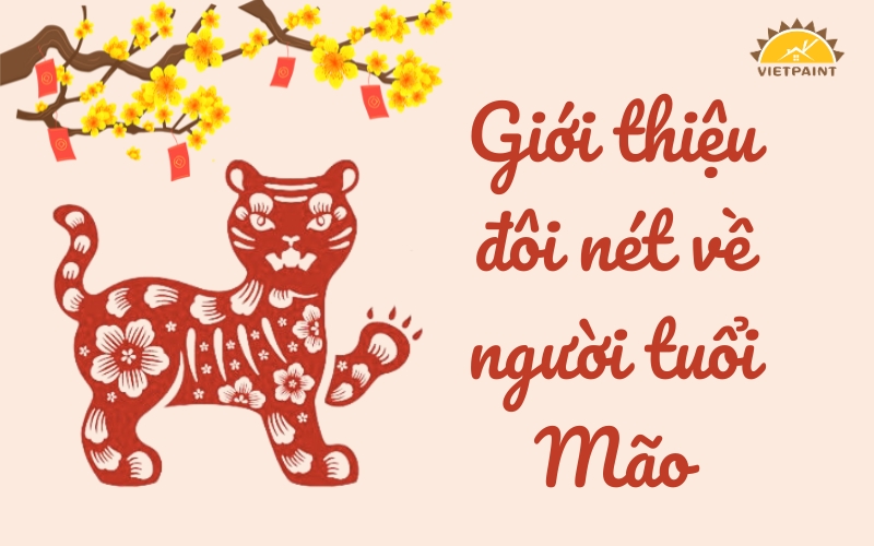 gioi-thieu-doi-net-ve-nguoi-tuoi-mao.jpg gioi-thieu-doi-net-ve-nguoi-tuoi-mao.jpg