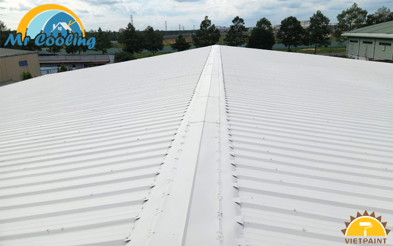 Son-chong-nong-Cty-Square-Roof-3.jpg