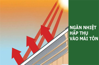 Son-chong-nong-Kansai-cho-mai-ton.jpg Son-chong-nong-Kansai-cho-mai-ton.jpg